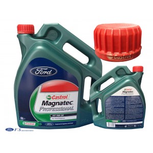 Ford 5W-30 Professional 15D5E6