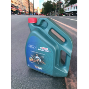  Ford Castrol Magnetec Professional D0W30