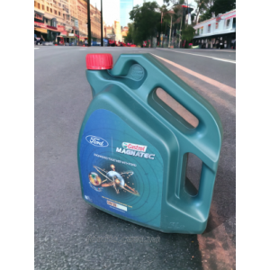  Ford Castrol Magnetec Professional D0W30
